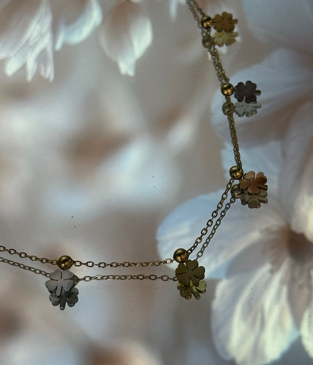 Elivara® | Lucky Mix